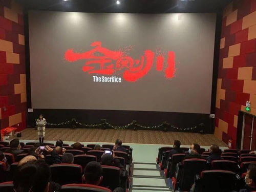 華陰市文旅局黨委 重溫崢嶸歲月筑牢使命擔當，文化交融激發時代活力